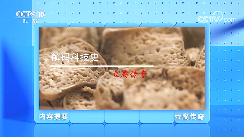 邵阳学院豆制品加工科研团队登上央视，讲解“豆腐传奇”_邵阳头条网