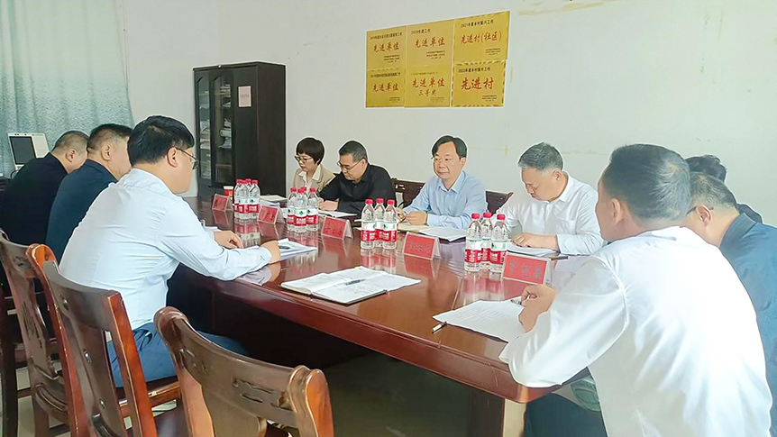 李学勇带队赴新邵县严塘镇湾里村开展乡村振兴专项督查和乡村振兴专项资金审计工作_邵阳头条网