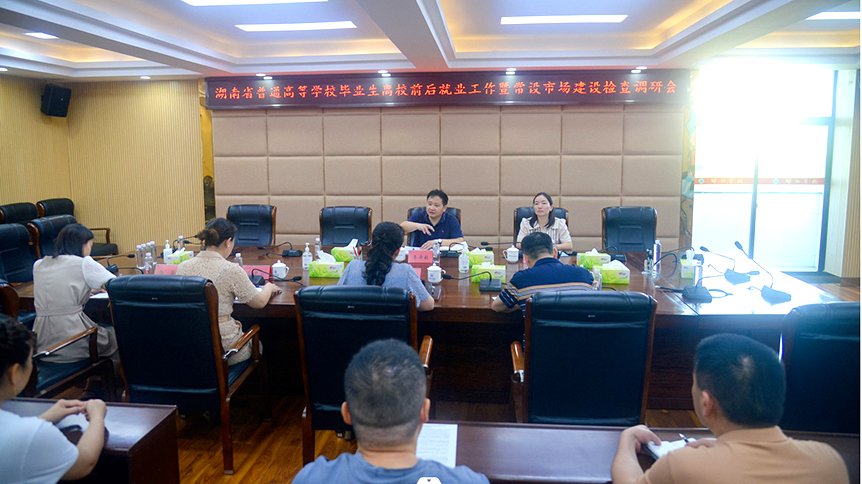 湖南省普通高等学校毕业生离校前后就业工作暨常设市场（邵阳片区）建设检查调研会在邵阳学院召开_邵阳头条网
