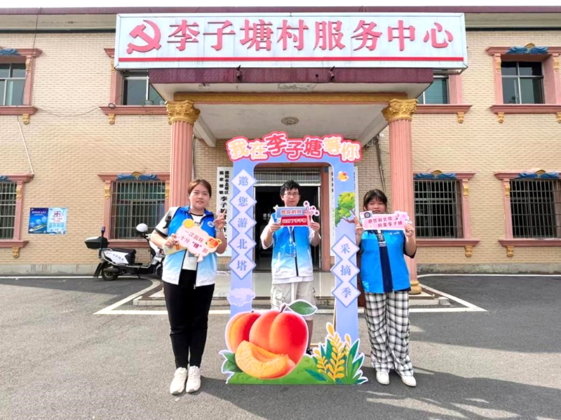 星之光乡村振兴促进团，助力李子塘黄桃节_邵阳头条网