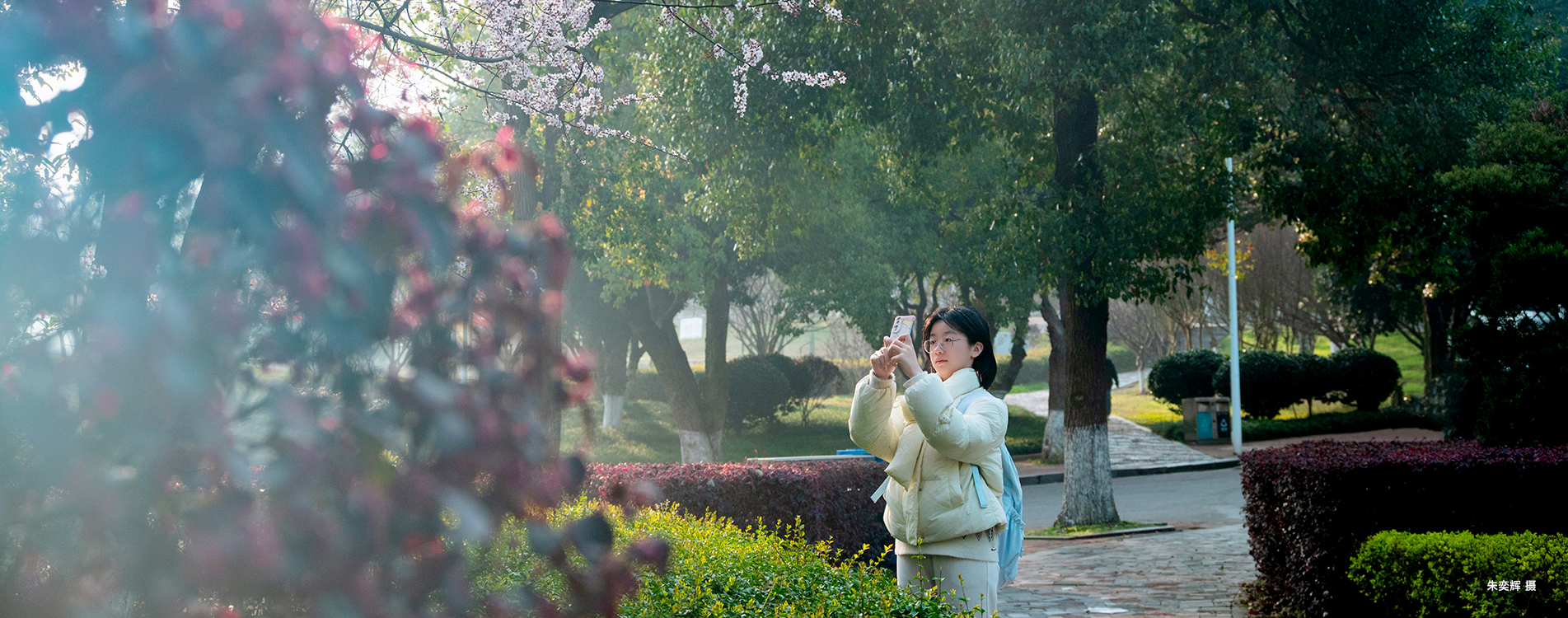 照春？? 朱奕辉摄.jpg