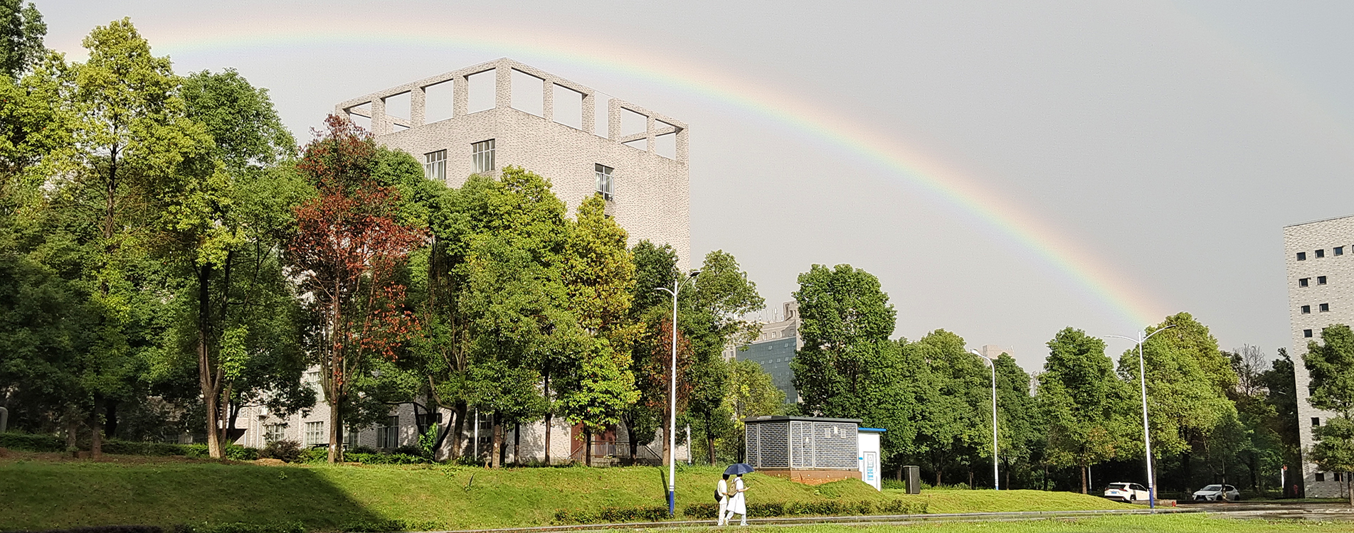 Rainbow.jpg