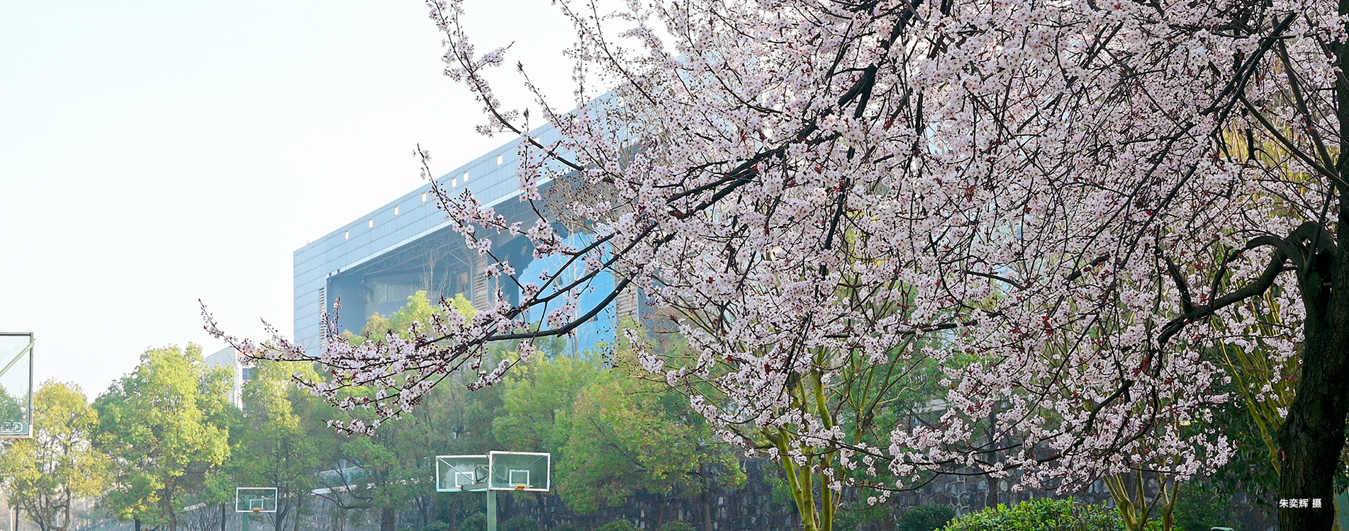 花枝招展 朱奕？?2026.3.26.jpg